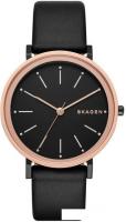 Наручные часы Skagen SKW2490