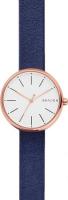 Наручные часы Skagen SKW2592