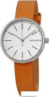 Наручные часы Skagen SKW2594