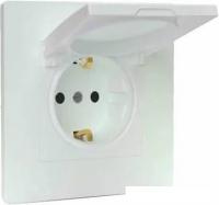 Розетка Tokov Electric Pixel TKE-PX-R1ZSW1-C04