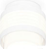 Припотолочная люстра Ambrella light XS XS8431001