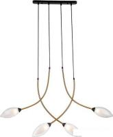 Подвесная люстра Indigo Fiore V000141