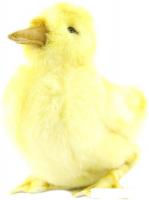 Классическая игрушка Hansa Сreation Утенок 4857 (20 см)