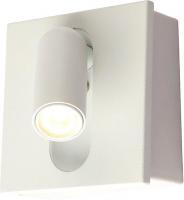 Спот Kinklight Эви 08073.01