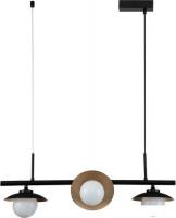 Подвесная люстра Indigo Corazza V000281