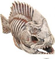 Декорация DekSi Скелет рыбы №903