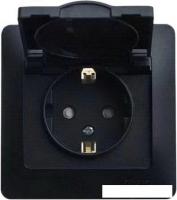Розетка Schneider Electric Glossa GSL000746 (антрацит)