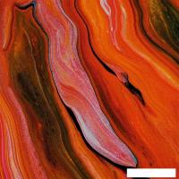 Картина Stamprint Лава 2 AR085 (50x50)