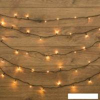 Новогодняя гирлянда Neon-Night 304-116 (теплый белый)