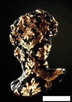 Картина Stamprint Золотой Давид AR048 (70x50)