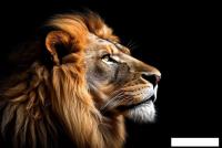 Картина Stamprint Смотрящий в даль AN014 (80x120)