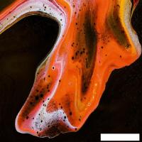 Картина Stamprint Лава 1 AR084 (50x50)