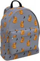 Школьный рюкзак Erich Krause EasyLine 17L Capybara 60331