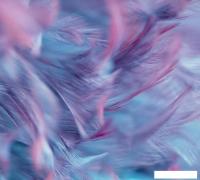Фотообои Vimala Перья 7 270x300