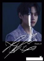 Картина Stamprint Proof. V 1 ID019 (70x50)