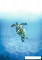 Картина Stamprint Всплыв AN023 (100x70)