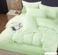 Постельное белье Pandora №1x1 12-0109 Светлая мята 2сп с европростыней (микрофибра-страйп)