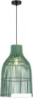 Подвесная люстра ST Luce SL1513.503.01