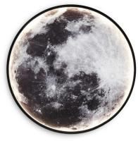 Светильник-тарелка Ambrella light FW11112 BK (черный)