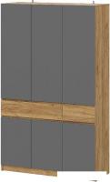 Шкаф распашной Mio Tesoro Авиньон 00-00112209 (дуб крафт золотой/графит серый)