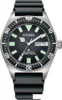 Наручные часы Citizen NY0120-01E
