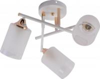 Люстра средней высоты Rivoli Tammy 3162-303 Б0059258