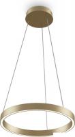 Подвесная люстра Maytoni Rim MOD058PL-L22BSK