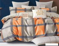 Постельное белье Alleri Сатин Premium семейный СП-262