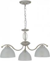 Подвесная люстра Rivoli Valerie 9169-303 Б0060979