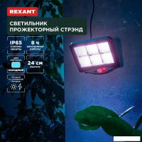 Уличный прожектор Rexant Стрэнд 602-2424