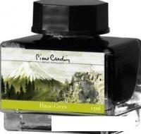 Чернила для перьевой ручки Pierre Cardin City Fantasy PC332-L5 (50 мл, зеленый Хаяо)