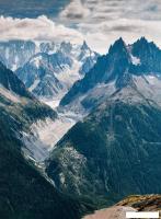 Картина Vimala 145 50x70 см