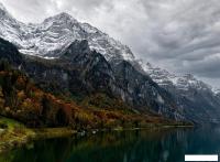 Картина Vimala 136 50x70 см