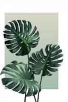 Картина Vimala 127 50x70 см