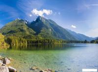 Картина Vimala 137 50x70 см