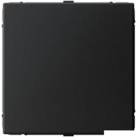 Декоративная заглушка Systeme Electric ArtGallery GAL001009