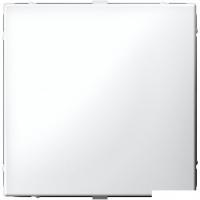 Декоративная заглушка Systeme Electric ArtGallery GAL000109