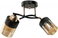 Люстра средней высоты Aitin Pro НПБ 02-2x60-101 9131/2 (золото/черный)