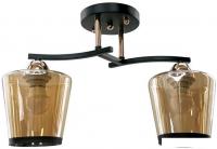 Люстра средней высоты Aitin Pro НПБ 02-2x60-101 9072/2 (черный/золото)