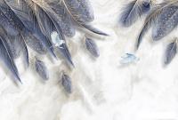 Фотообои Vimala Перья на стене 2 270x400