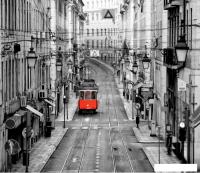 Фотообои Citydecor Города и Архитектура 53 300x260