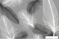 Фотообои Citydecor Абстракция 390 400x260