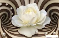 Фотообои Citydecor Абстракция 35 400x260