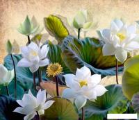 Фотообои Citydecor Цветы и Растения 163 300x260