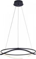 Подвесная люстра Lightstar Rotonda 736517