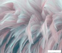 Фотообои Citydecor Абстракция 27 300x260