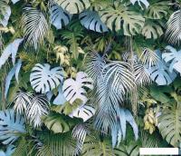 Фотообои Citydecor Цветы и Растения 145 300x260