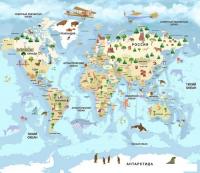 Фотообои Citydecor Детская Карта мира 343 300x260