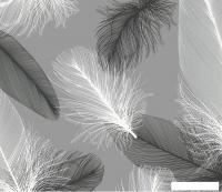 Фотообои Citydecor Абстракция 390 300x260