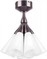 Люстра средней высоты Lightstar Cone 757070